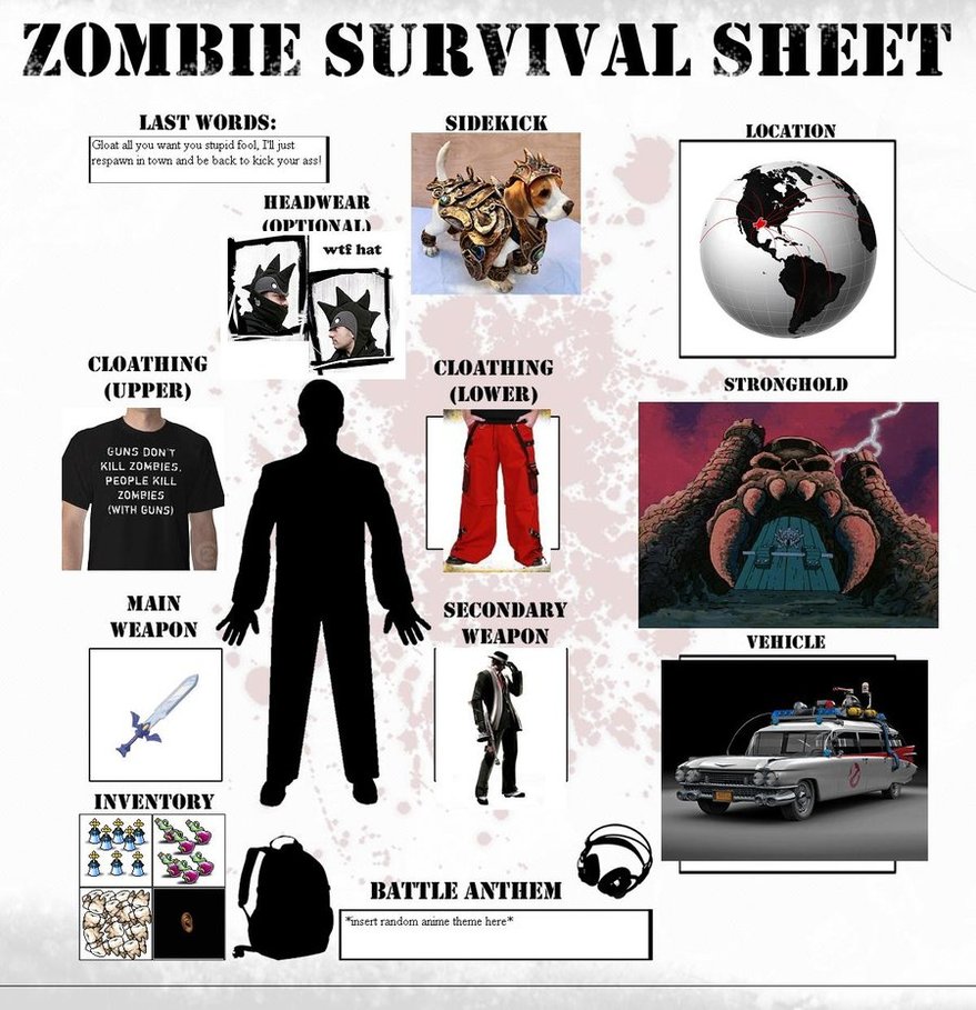 Zombie Apocalypse Survivor